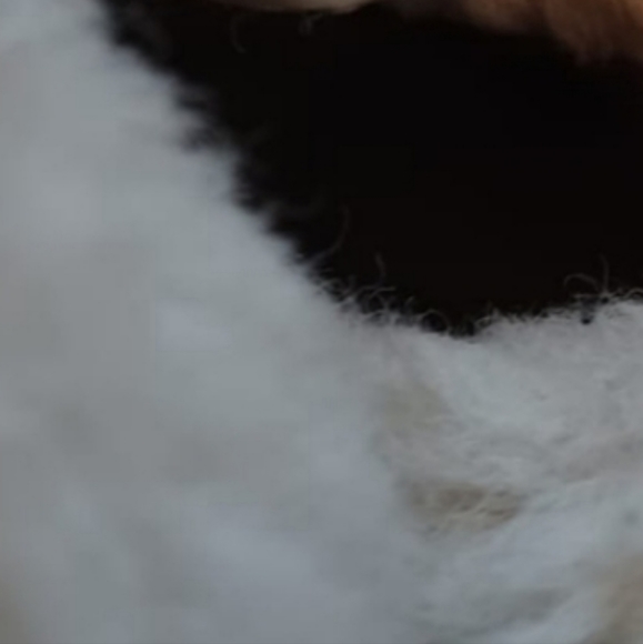 UGG BAILEY BUTTON chestnut - Picture 5 of 5